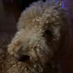 Mark lower - @lower9518 - Instagram