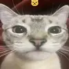 mimicaa - @marklua - TikTok