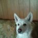 Mark Luckett - Facebook