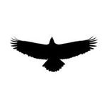 Mark Ludwin - @birdsofpreyvideo - Instagram