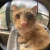 MarkLL - @mark.lueck1 - TikTok