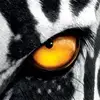 markluisi800 - @markluisi800 - TikTok
