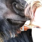 Mark Lupton - @mark.lupton.7 - Instagram