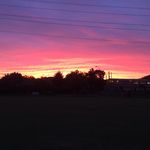 Marcus Luscombe - @theducksnoodle - Instagram