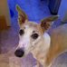 Mark Luscombe - Facebook