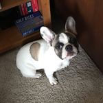 Mark Lutgen - @downtown_markybrown - Instagram