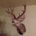 Mark Luttrell - @rock_hound99 - Instagram