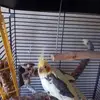 Mark Luttrell - @mark.luttrell - TikTok