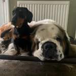 Mark Lynd - @lynd.mark - Instagram