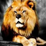 Mark Lyon - @lyon.mark - Instagram
