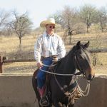 Mark Lyon - @marklyonhorsetraining - Instagram
