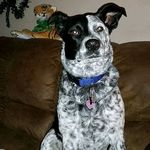 @mark.lytle.73 - Instagram