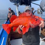 Mark Lytle - @pacific_city_fishing - Instagram