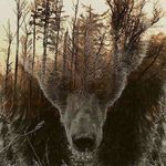 Mark Lytle - @lakeman.89451 - Instagram