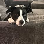 Mark MacAllister - @mark.macallister - Instagram
