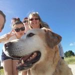 Mark Macauley - @mark.macauley.547 - Instagram