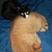 Mark MacDonald - Facebook