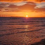 Mark Macgregor Straw - @floydandoscar - Instagram