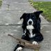 Mark Machan - Facebook
