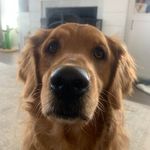 Mark Mackey - @markamackey - Instagram