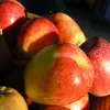 Mark MacLachlan - @mark.maclachlan3 - TikTok