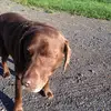 MARK MACLELLAN - @markmaclellan - TikTok