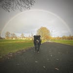 Mark Macleod - @markmacleod8 - Instagram