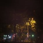 Mark Macon - @botscreepopular - Instagram