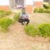 Mark Masika - Facebook