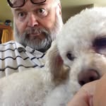 Mark Matthews - @markmadrasshark - Instagram