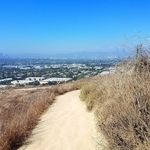 Mark Magana - @curvytrails - Instagram