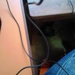 Mark Maginga - @magingamark - Instagram