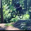 markmaginnis01 - @markmaginnis01 - TikTok