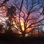 Mark Mahler - @winniecushie2740 - Instagram
