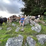 Mark Malcolm - @mark.malcolm.50 - Instagram