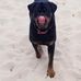 Mark Malott - Facebook