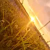mark anthony mancha - @mark.anthony.manc15 - TikTok