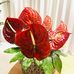 Markus Mandelbaum - Facebook