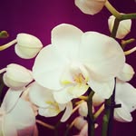 Nadine Markmann - @markmann_kosmetik - Instagram