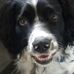 Mark Mannion - Facebook