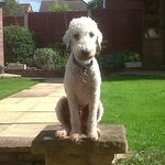 Mark Mannion - @mark.mannion.52 - Instagram