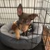 Mark Mannix - Facebook