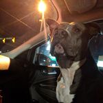 Mark Mannix - @mark.mannix.16 - Instagram