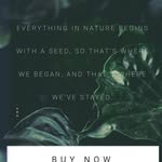 Mark Manthei - @rainworldwide2018 - Instagram