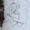 markmanuel - @markmanuel5872 - TikTok