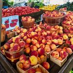 Maple Acres Farm Market - @mapleacresfarmmarket - Instagram
