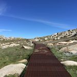 Mark Hanson - @markmaple - Instagram