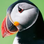 Mark Mapp - @mark.alderney - Instagram