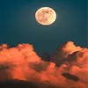 markmapperson48652 - @markmapperson48652 - TikTok
