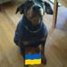 Mark Maranto - Facebook